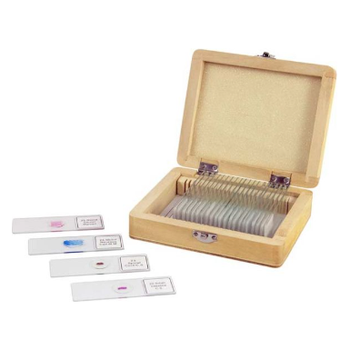 Microscope Slide Kit